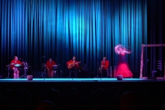 Flamenco Tour 2008