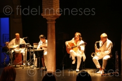 Flamenco Tour 2008